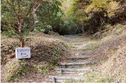 丸山公園　道順4